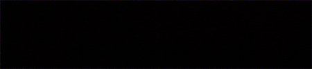 Logo PURISLOT